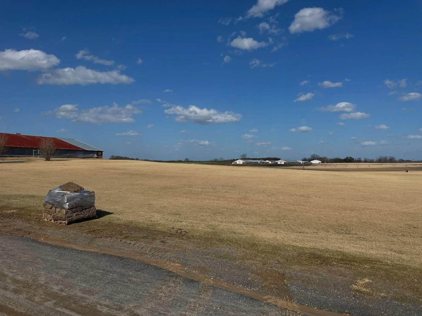 Brown field under blue sky with some clouds; farm buildings in the distance.