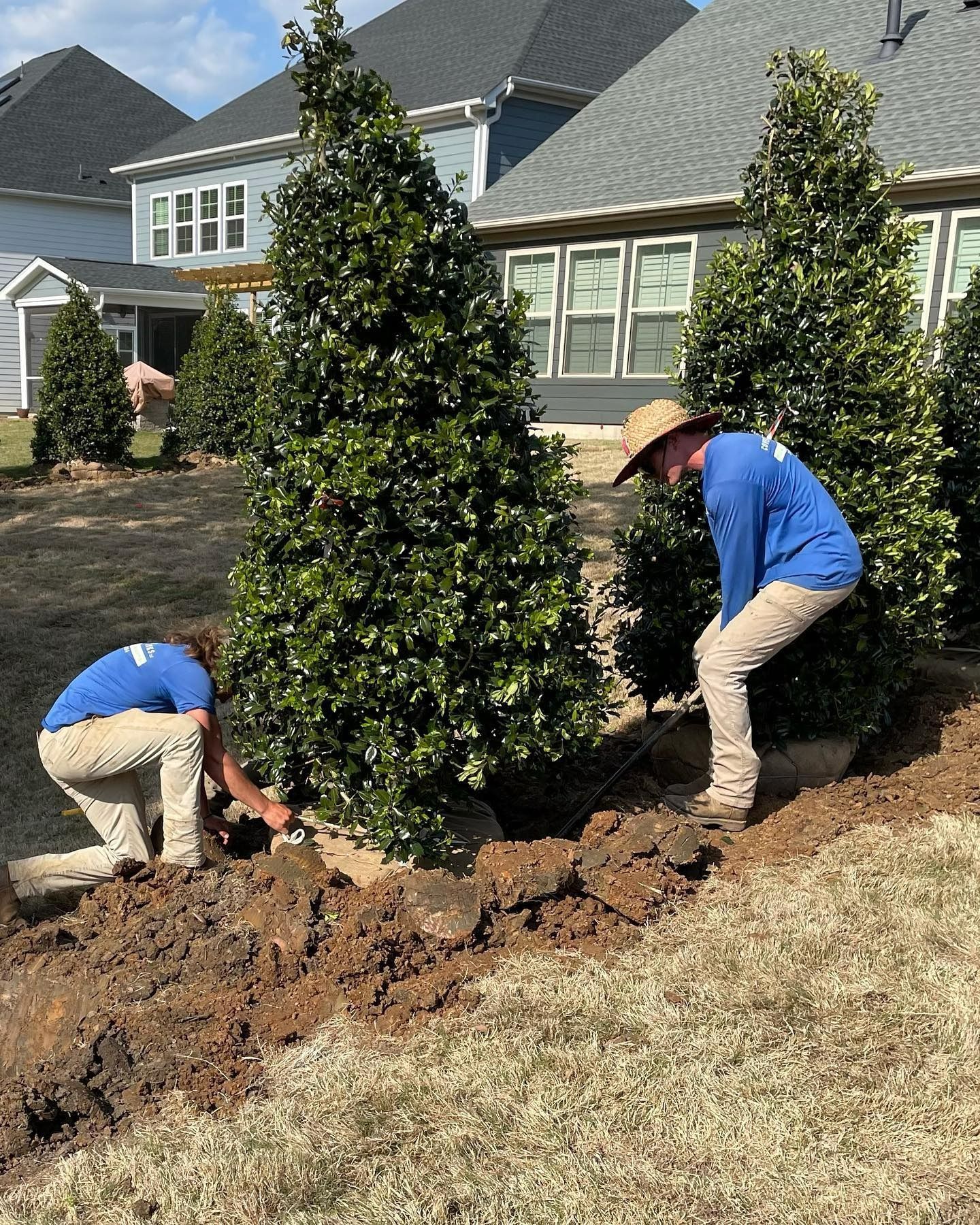 Two people planting trees in a yard, digging in soil. Blue shirts, beige pants, and hats.