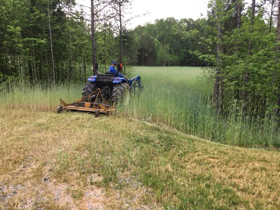 A blue tractor mowing tall green grass in a field, near a wooded area.