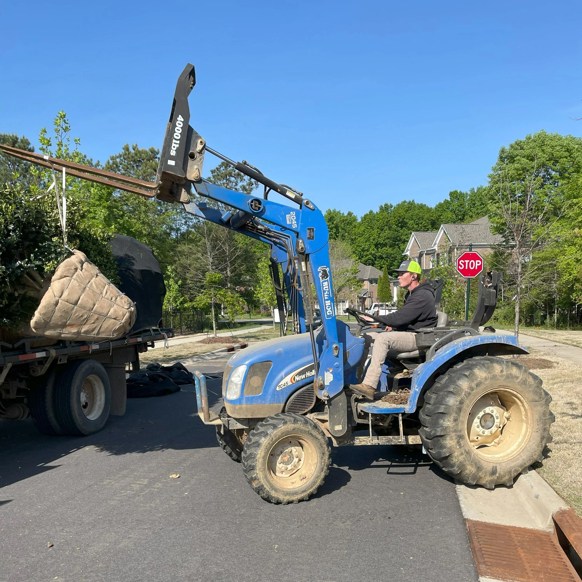 A blue tractor with a lifted bucket next to a trailer loaded with a wrapped plant, on a road.
