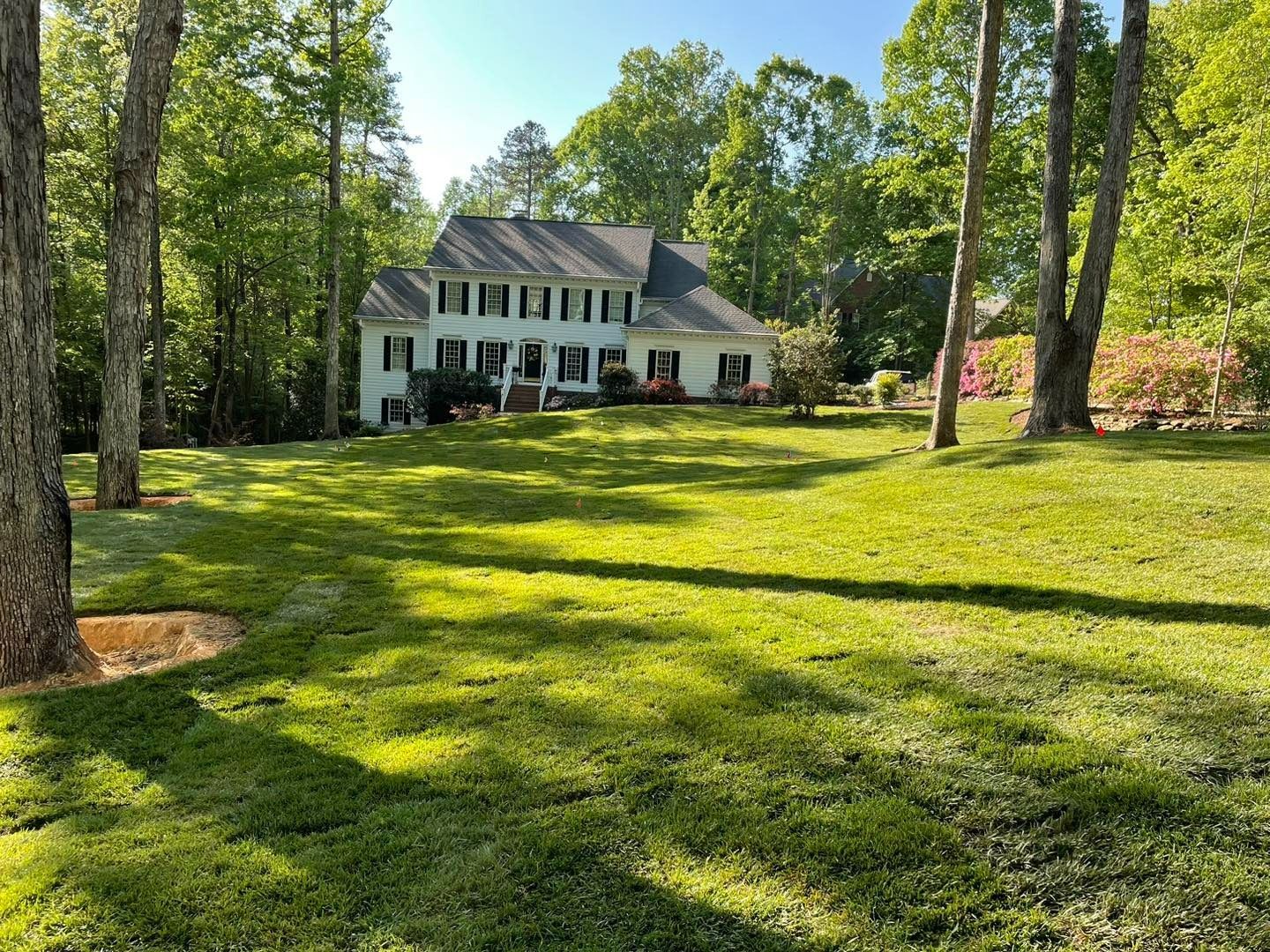 White house with black shutters, on a green lawn with trees, under a blue sky.