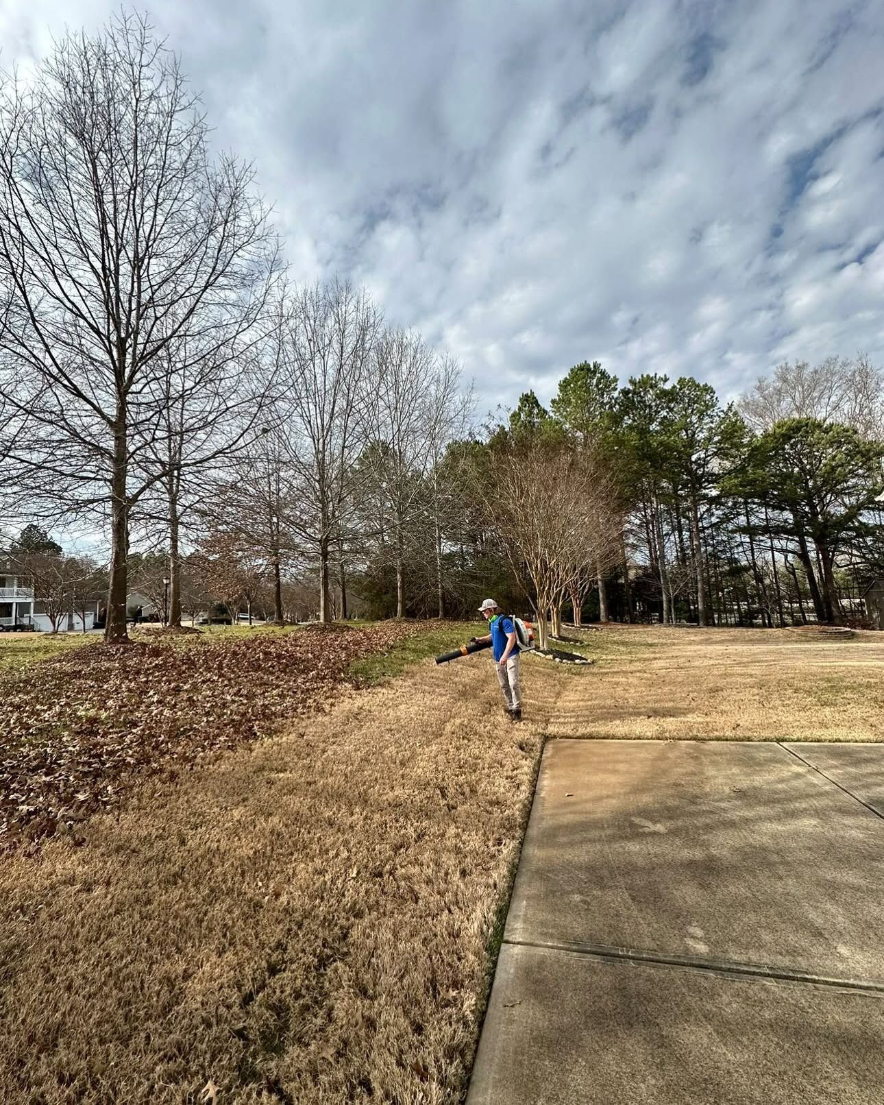 Person using a leaf blower on a grassy area, trees in the background, cloudy sky.