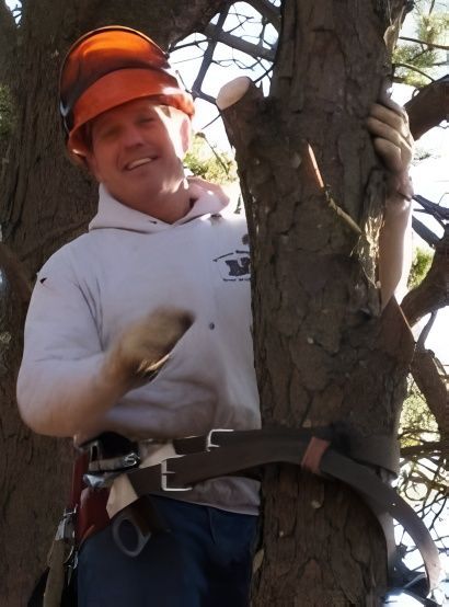 Arborist in an orange hard hat, smiling, trimming a tree branch, wearing a safety harness, outdoors.