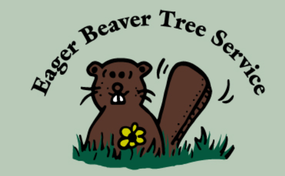 Cartoon beaver in grass, with text "Eager Beaver Tree Service" above.