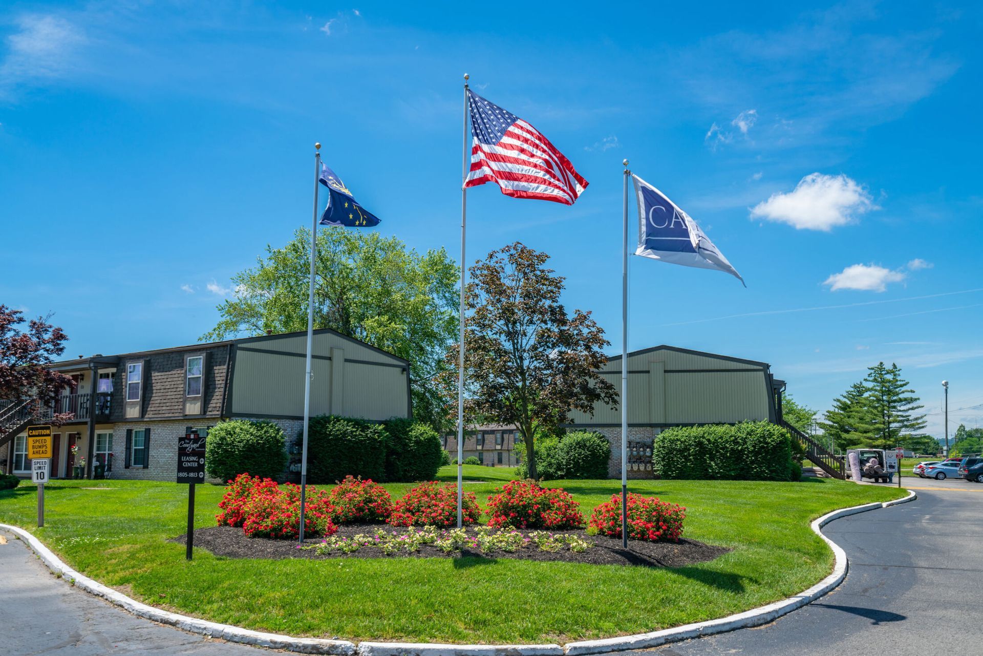 flagpole and grass lawn