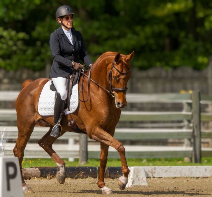 A woman is riding a brown horse in a dressage arena.