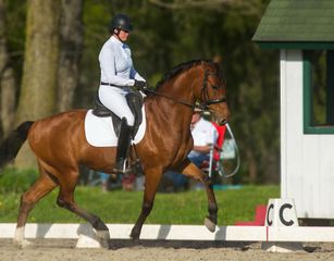 A woman is riding a brown horse in a ring.