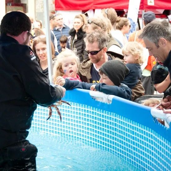 Man showing crab in pool to children at event. People watch.
