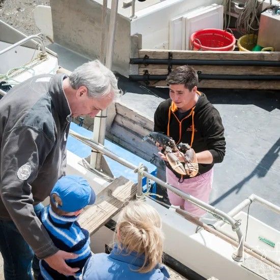 Man shows a shellfish to a family on a boat. Other person is on boat deck near buckets.