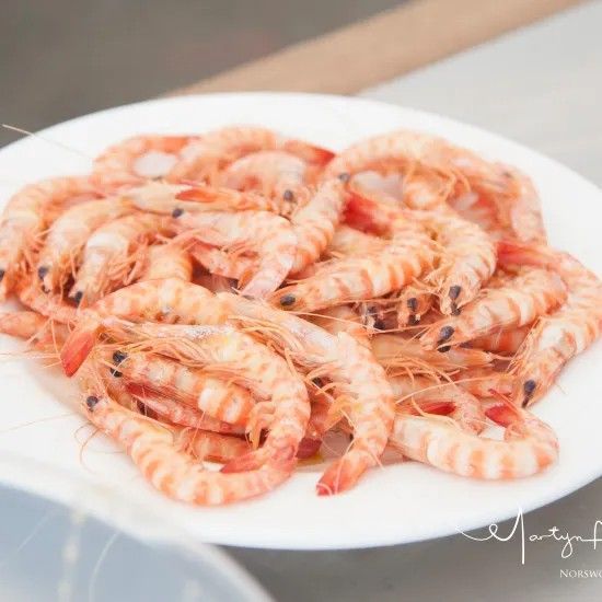 Cooked shrimp on a white plate, ready to be eaten.