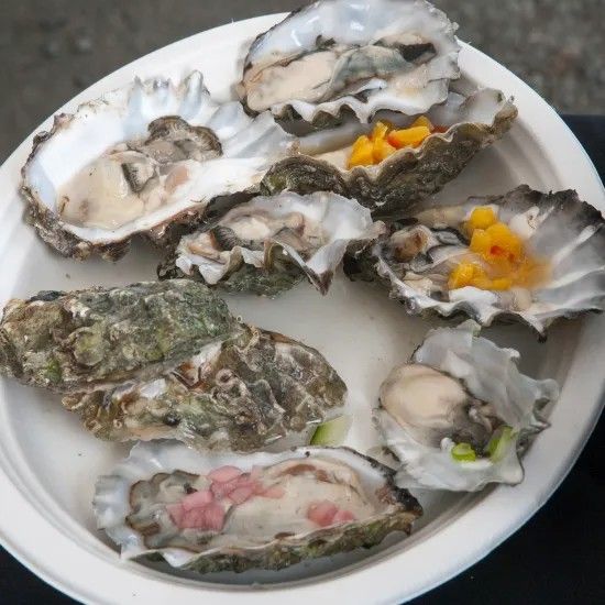 Oysters on a white plate, some with toppings.
