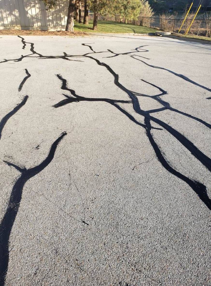 Long, dark shadows of leafless tree branches cast across a light gray asphalt surface in bright sunlight.