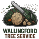 tree-service-wallingford-connecticut