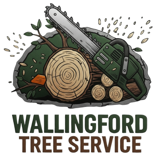 tree-service-wallingford-connecticut