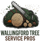 tree service in wallingford connecticut