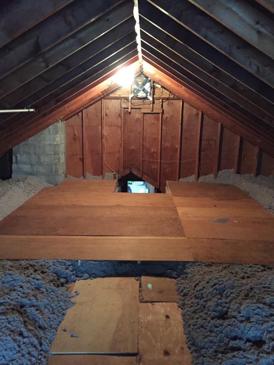 Cellulose Insulation