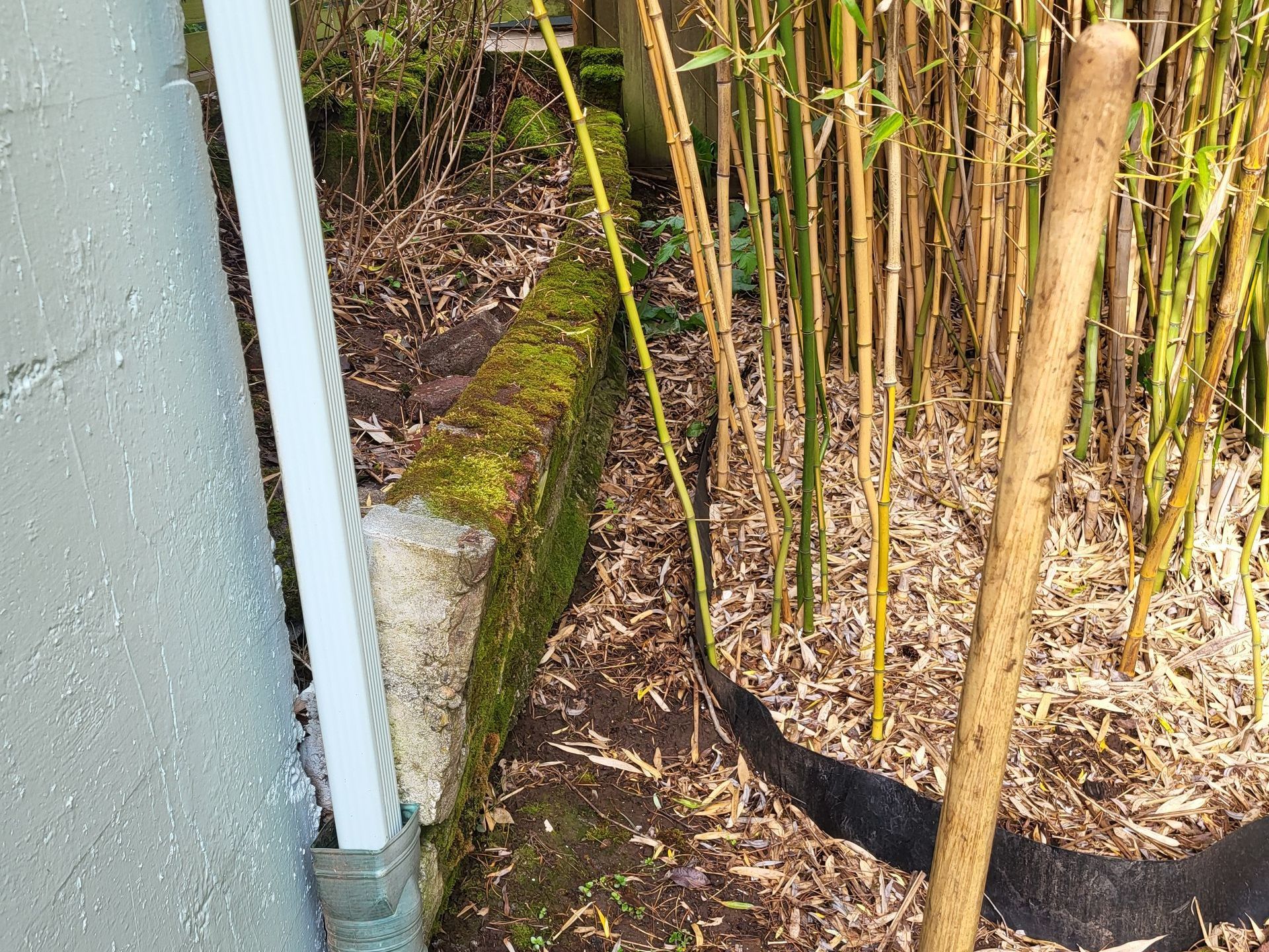 Moss covered old retaining wall