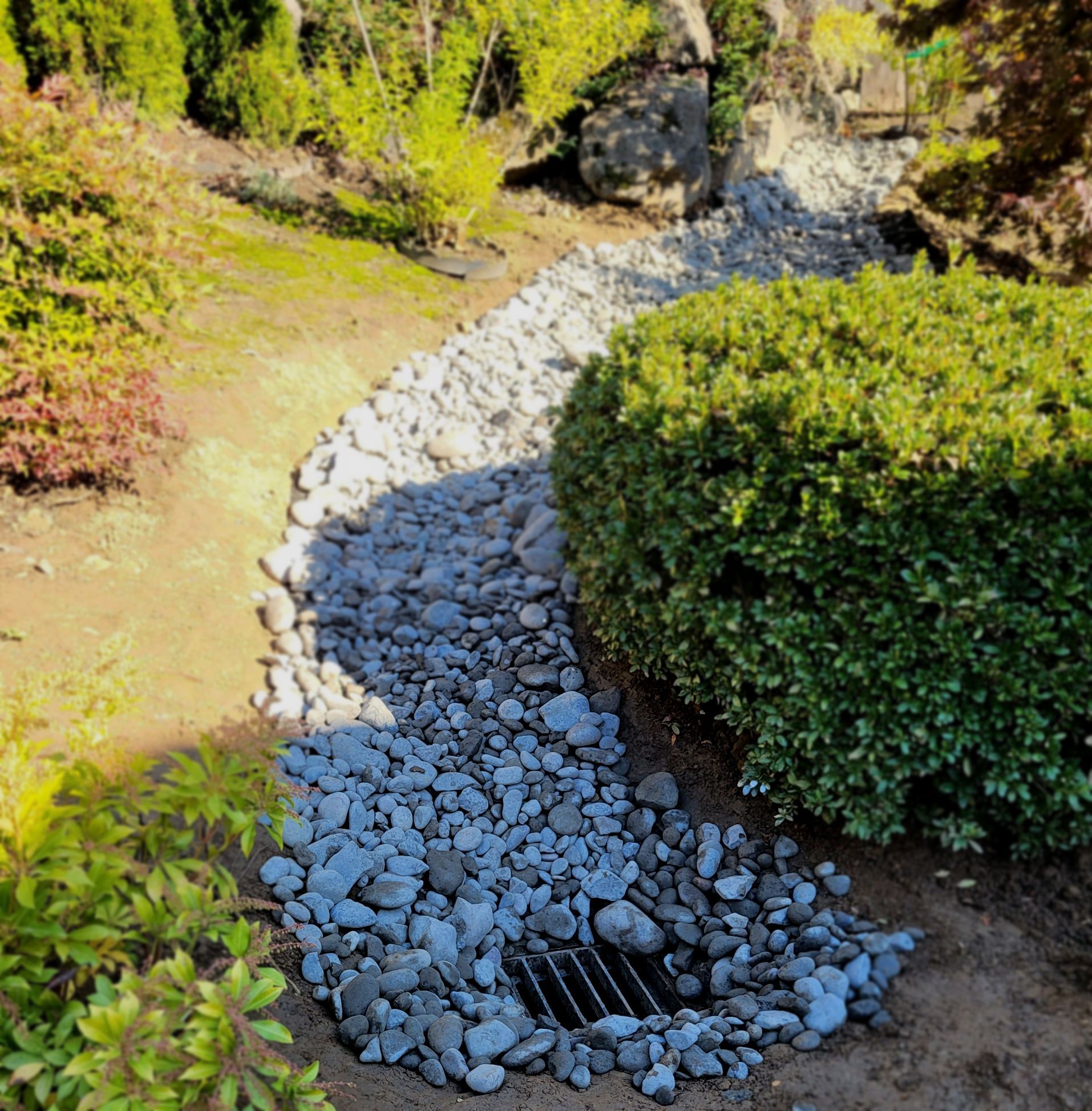 Catch Basin and French Drain Lawn System