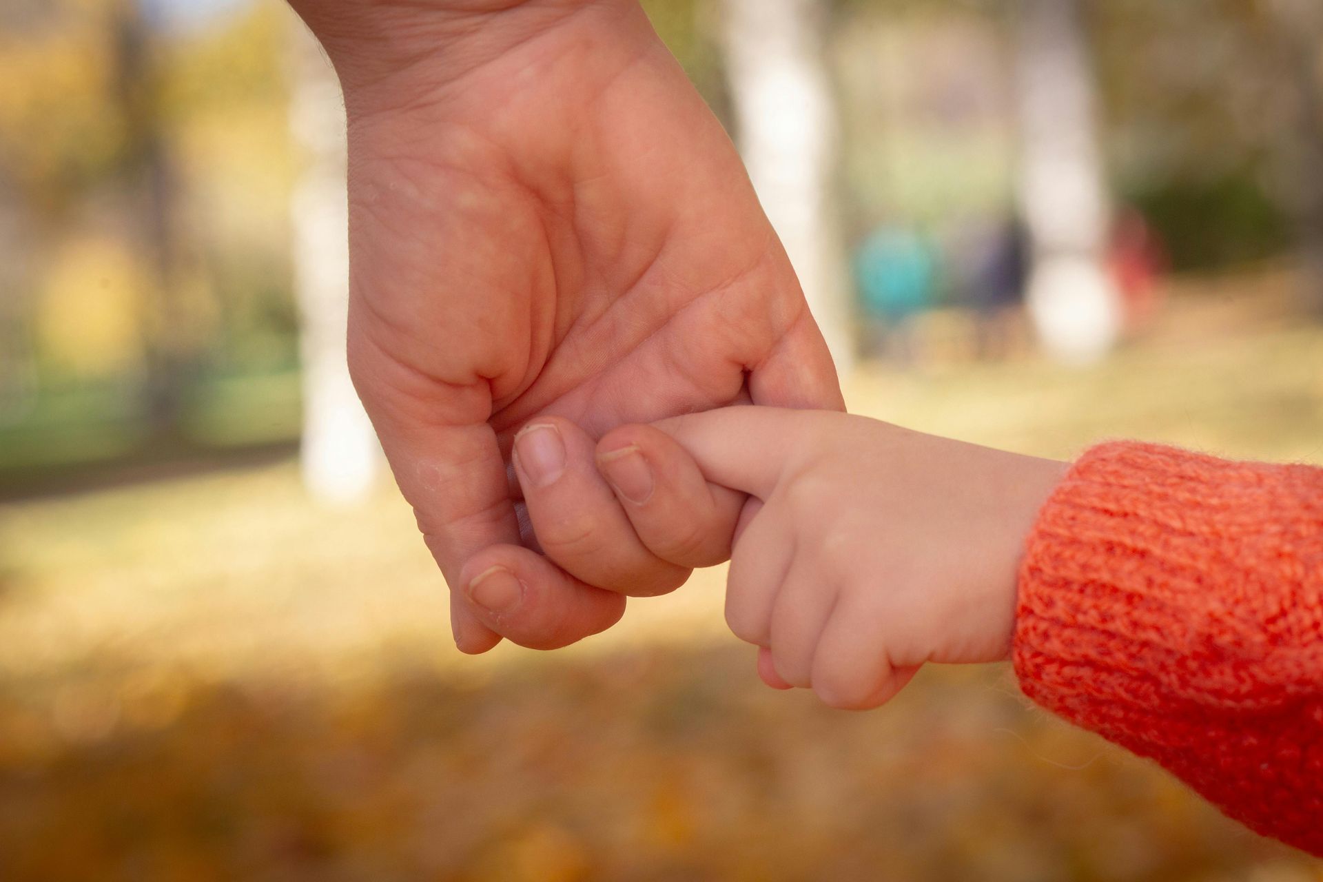 Adult hand holding a child's finger, in an outdoor setting, autumn colors, blurred background.