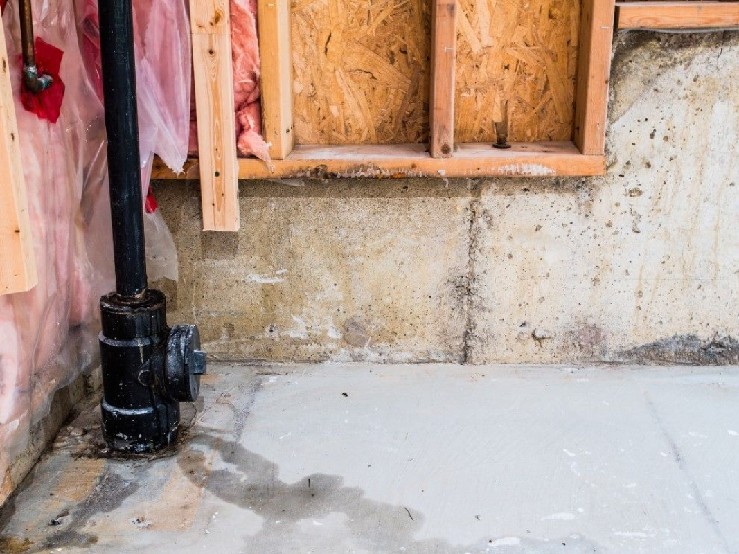 Basement with plumbing, concrete floor, wooden framing, and damp wall.
