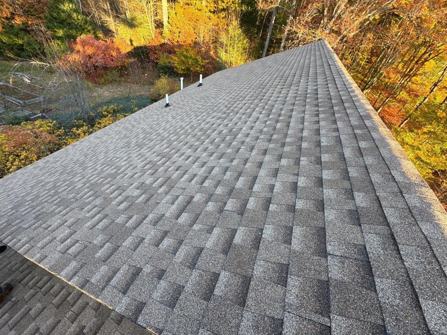 Close-up view of a shingled roof with a backdrop of colorful fall foliage.
