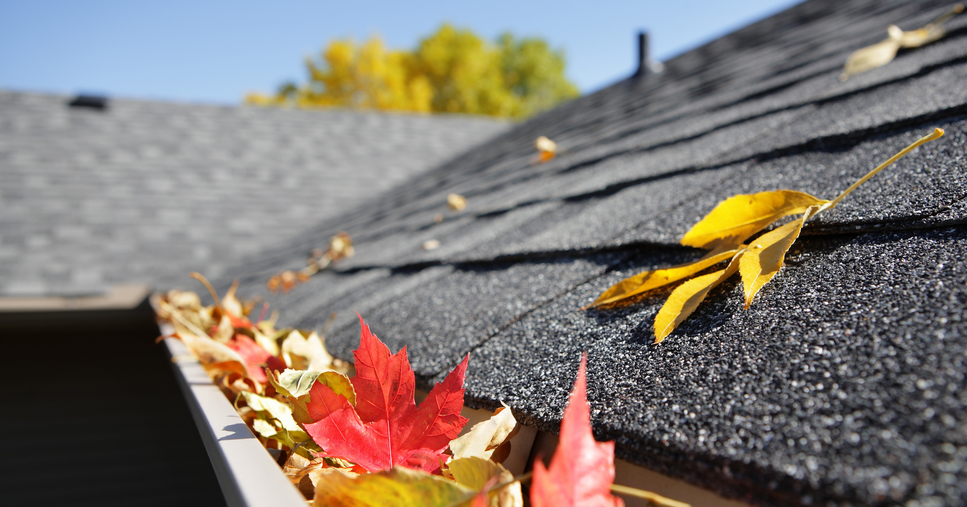 DIY Roof Care vs. Expert Services: Making the Right Choice