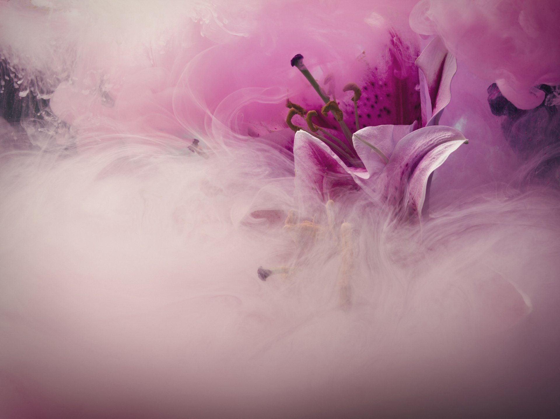 Allestimenti funebri