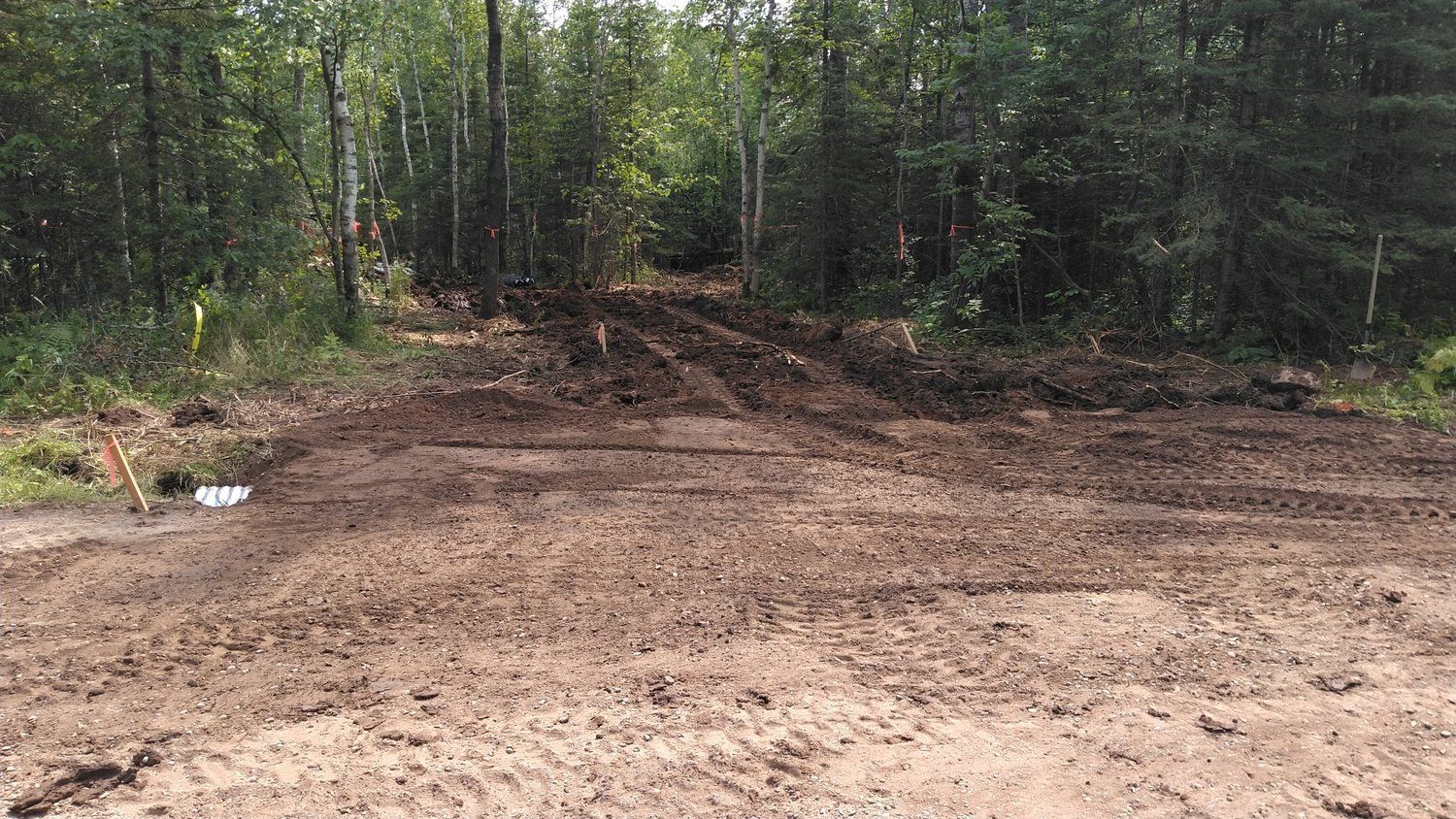 A dirt road in the middle of a forest with trees in the background.