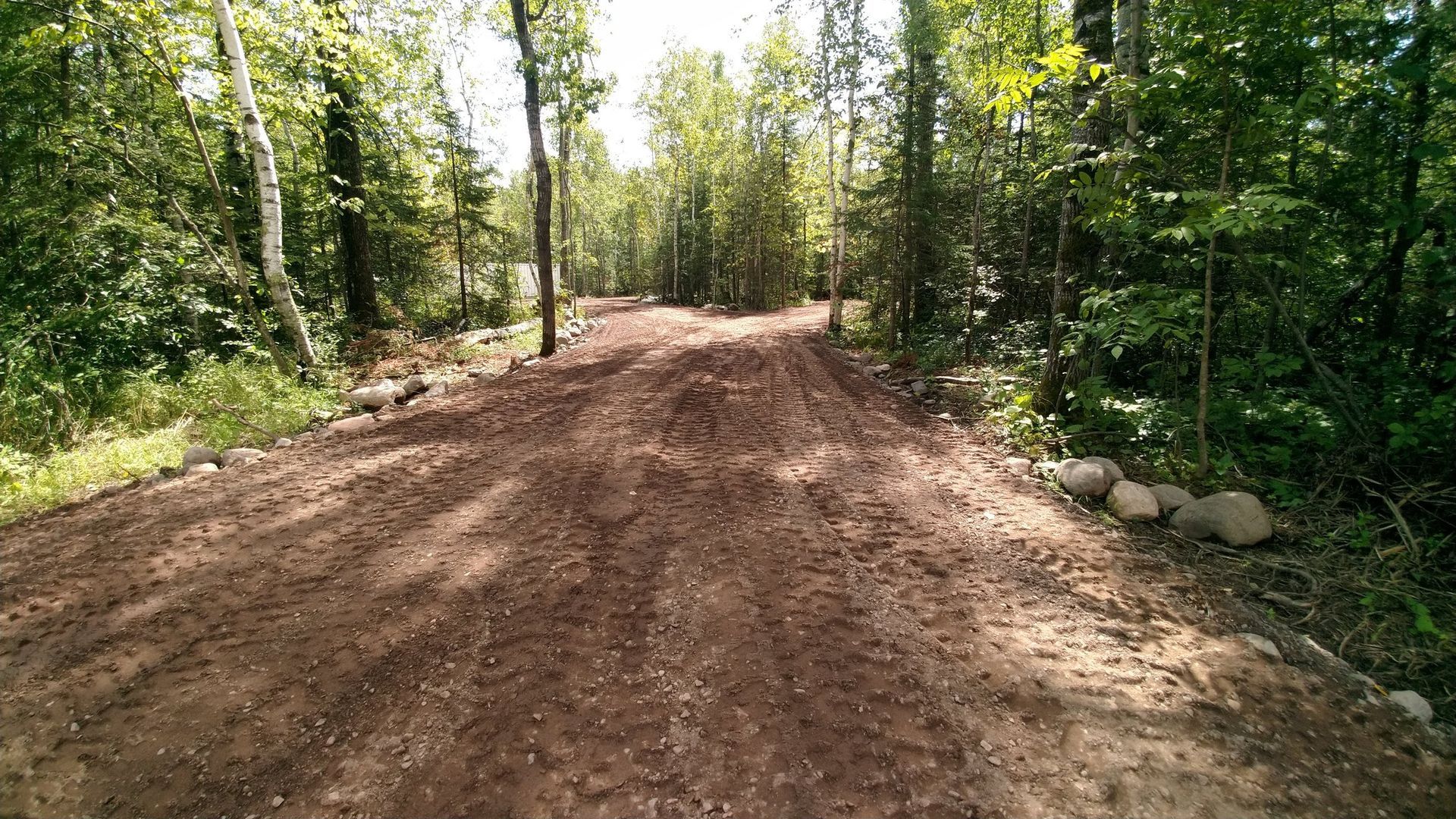 A dirt road in the middle of a forest.