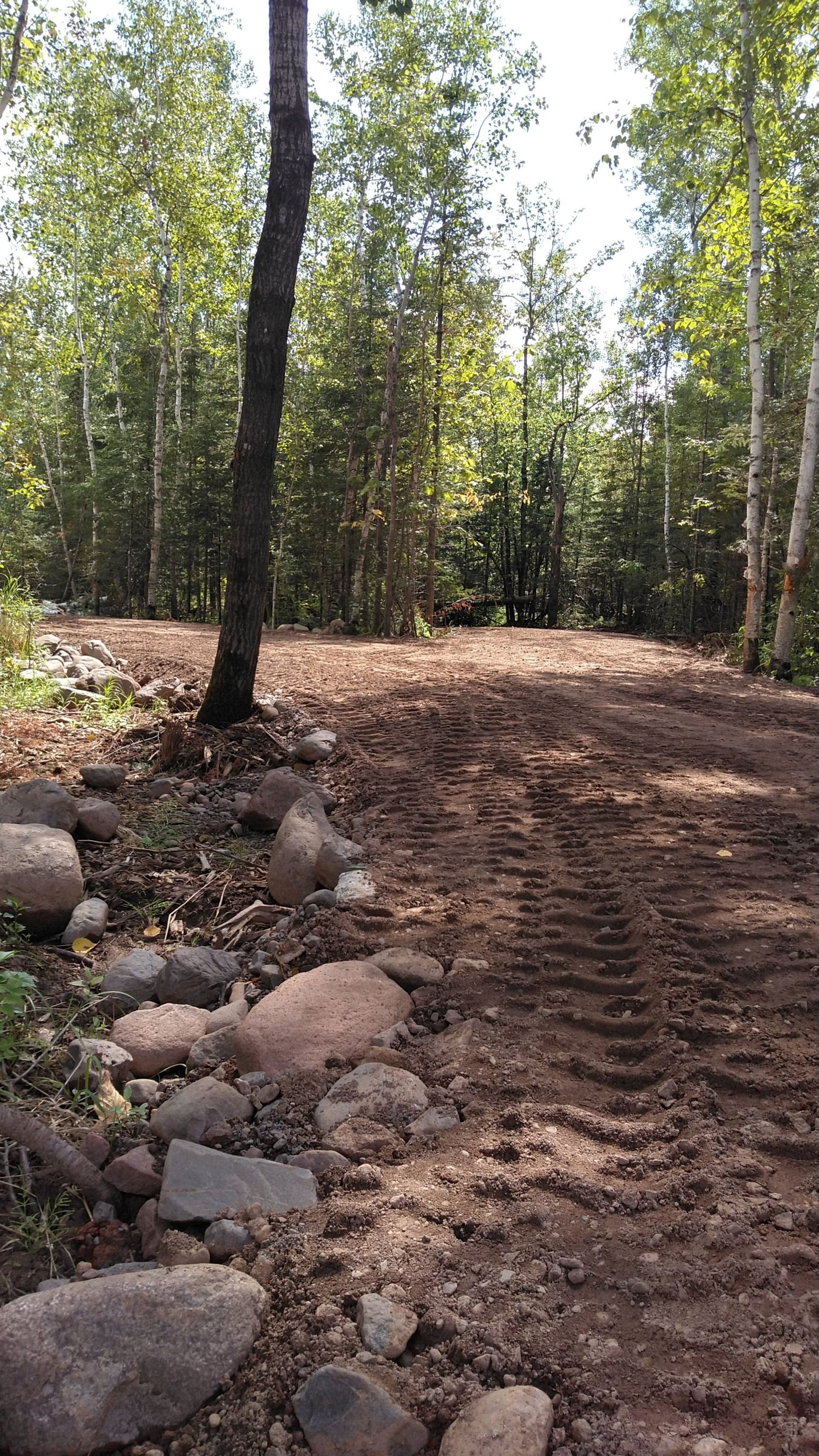 A dirt road in the middle of a forest surrounded by trees and rocks.