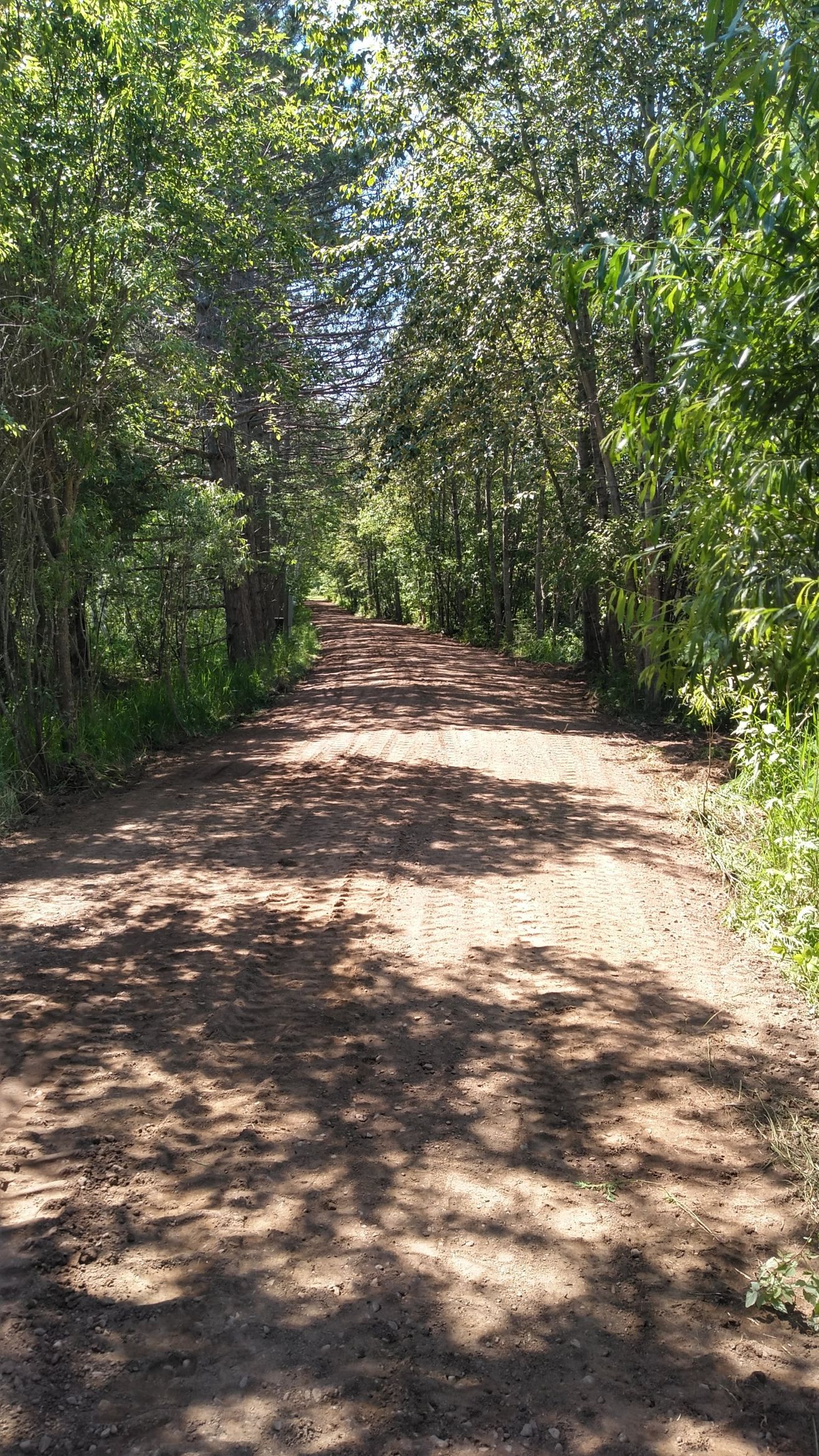 An excavator is digging a hole in the dirt next to a pipe.