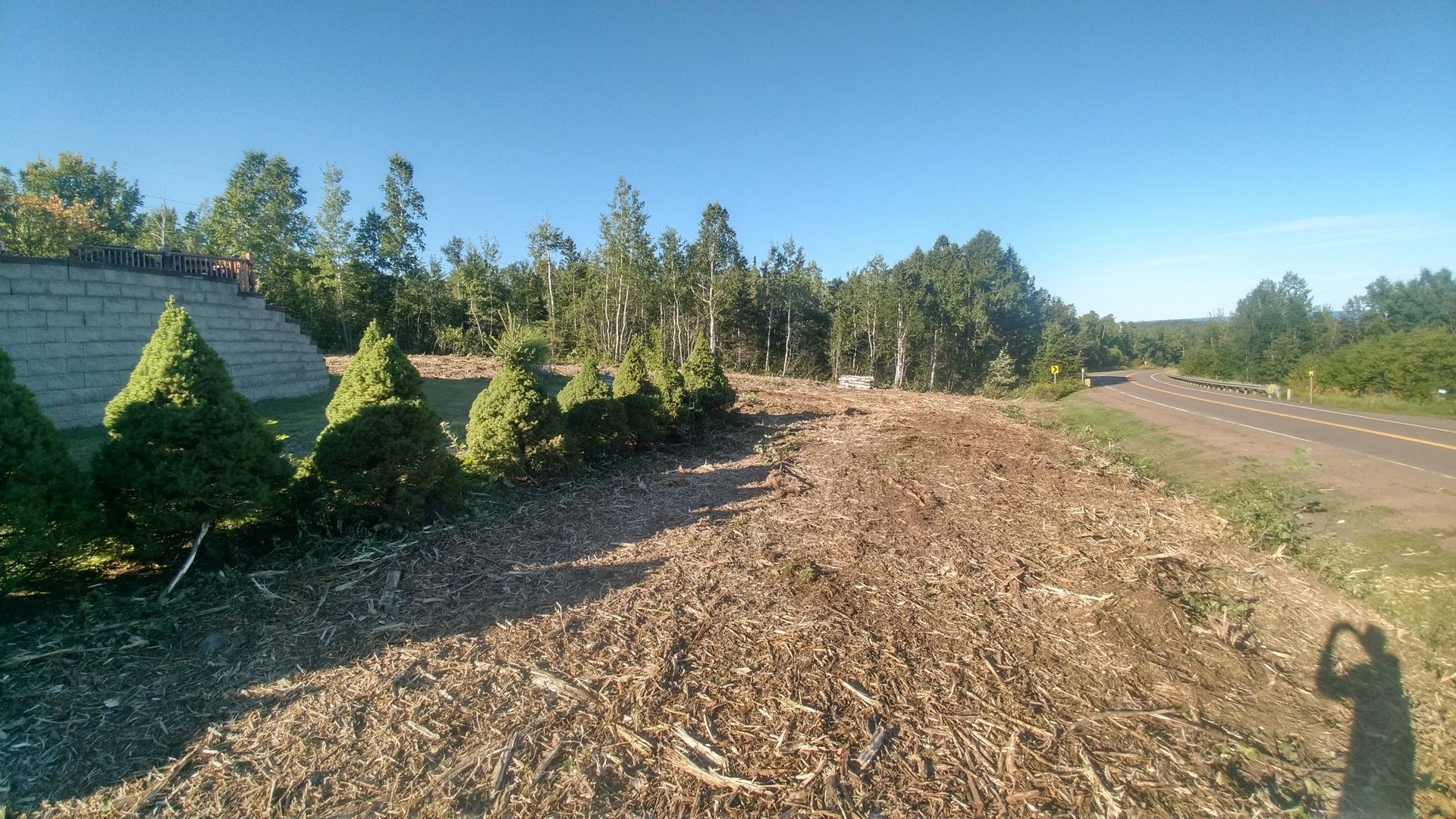 A field with trees in the background and a grassy area in the foreground.