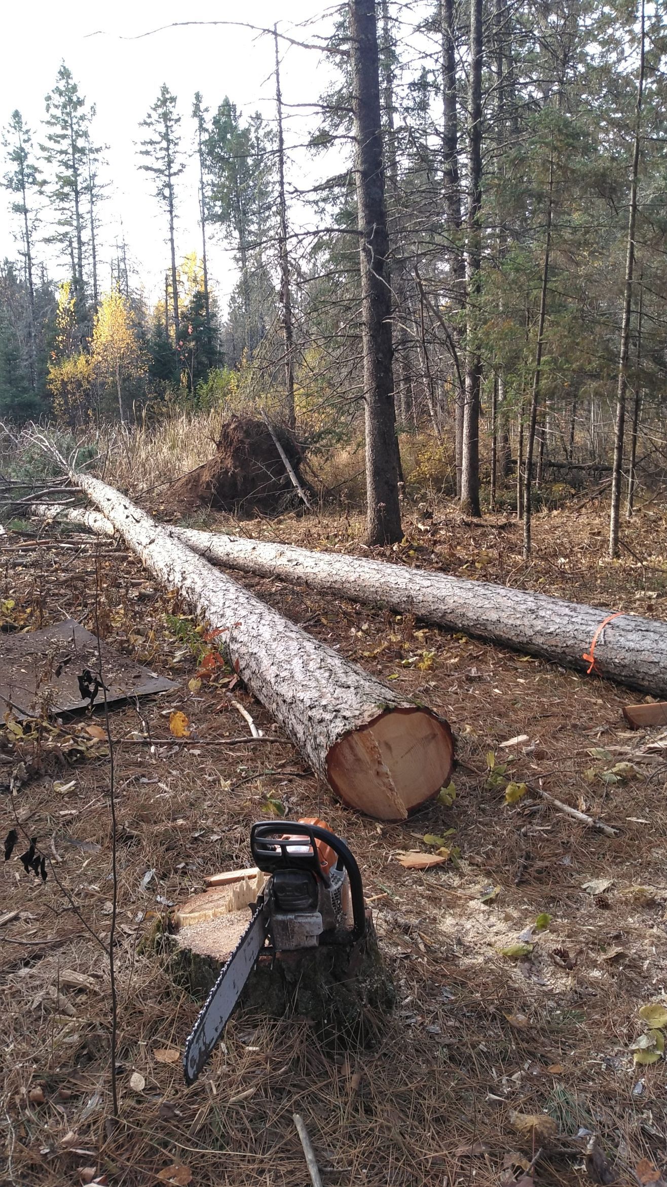 An excavator is digging a hole in the dirt next to a pipe.