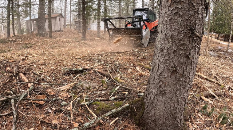 A tractor is cutting down a tree in the woods.