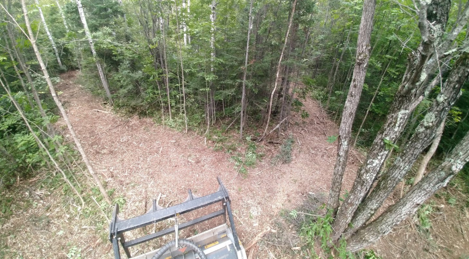 An aerial view of a tractor in the middle of a forest.