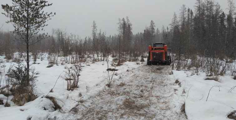 A tractor is driving down a snowy road in the woods.