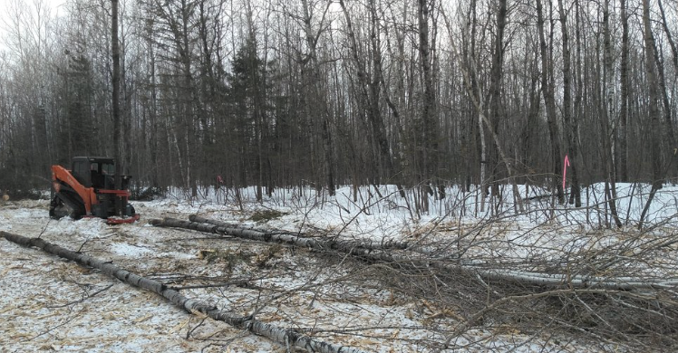 A tractor is cutting trees in a snowy forest.