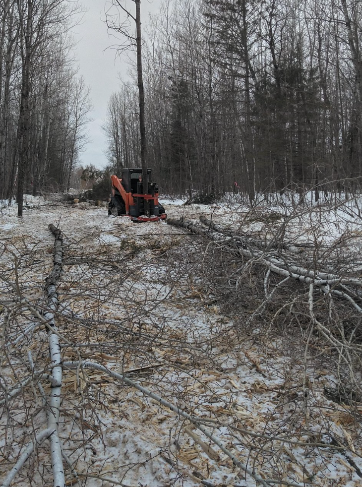 A tractor is cutting down trees in a snowy forest.