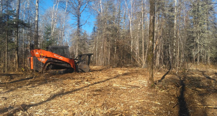A tractor is cutting down trees in the woods.