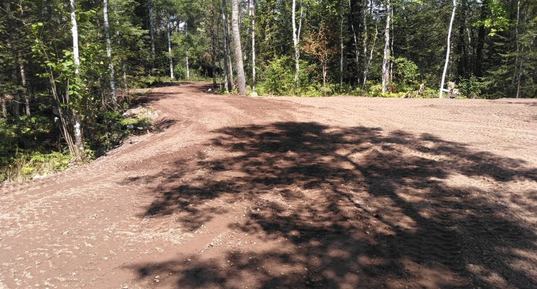A dirt road going through a forest with trees on both sides.