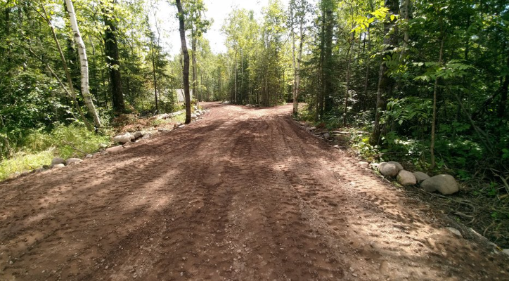 A dirt road in the middle of a forest.