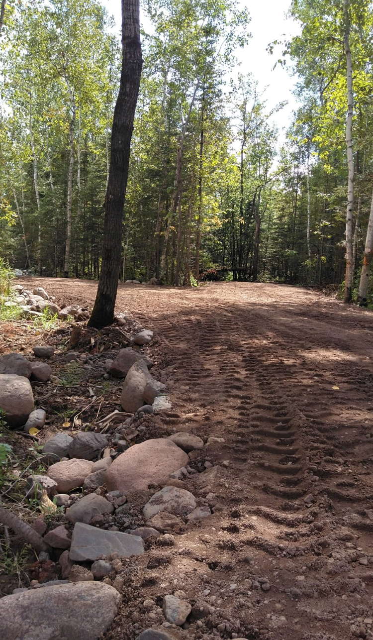 A dirt road in the middle of a forest surrounded by trees and rocks.