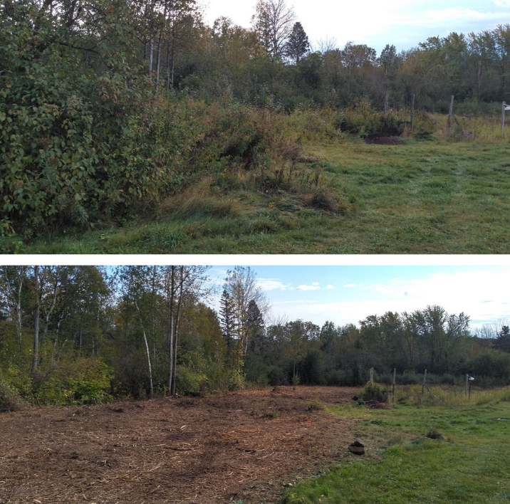 A before and after picture of a field with trees in the background