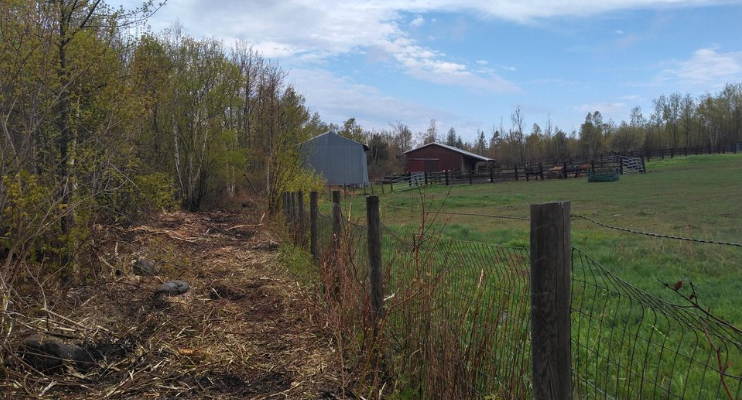 A fence surrounds a grassy field with a barn in the background.