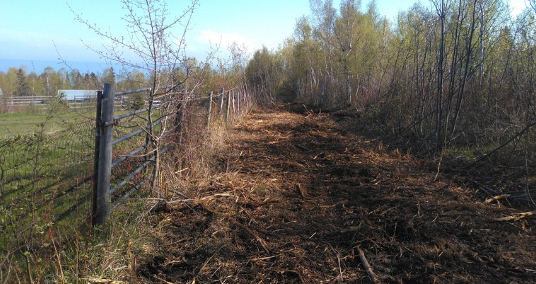 A fence surrounds a dirt road in the middle of a forest.