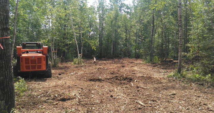 A tractor is driving down a dirt road in the middle of a forest.