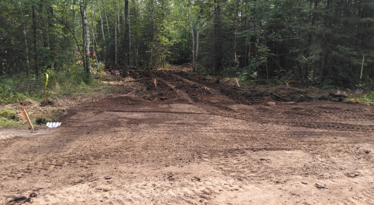 A dirt road in the middle of a forest.