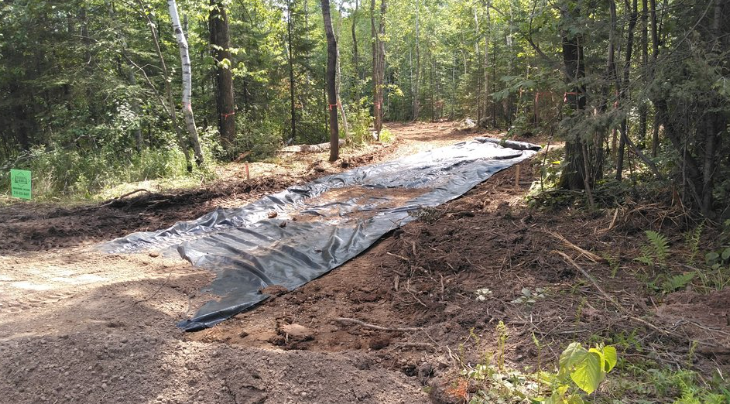 A black tarp is laying on the ground in the middle of a forest.