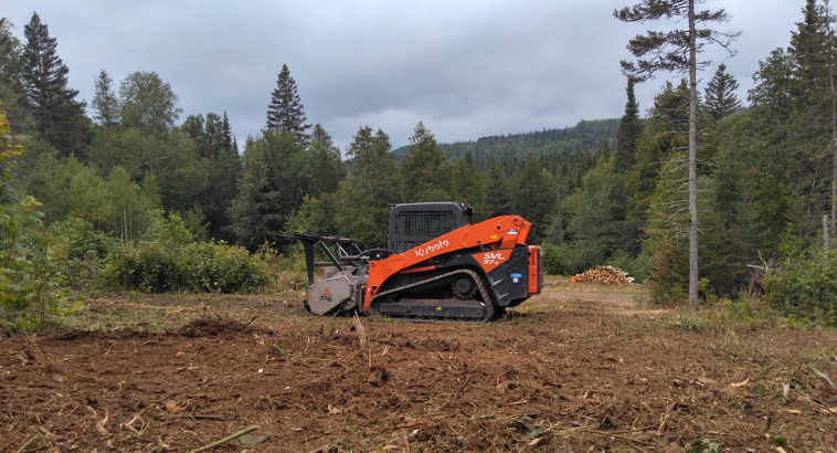 A bulldozer is driving through a dirt field in the middle of a forest.