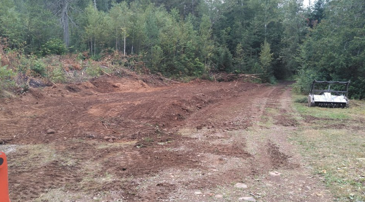 A dirt road in the middle of a forest with trees in the background.